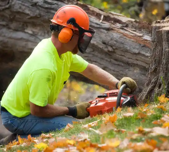 tree services Farmingdale